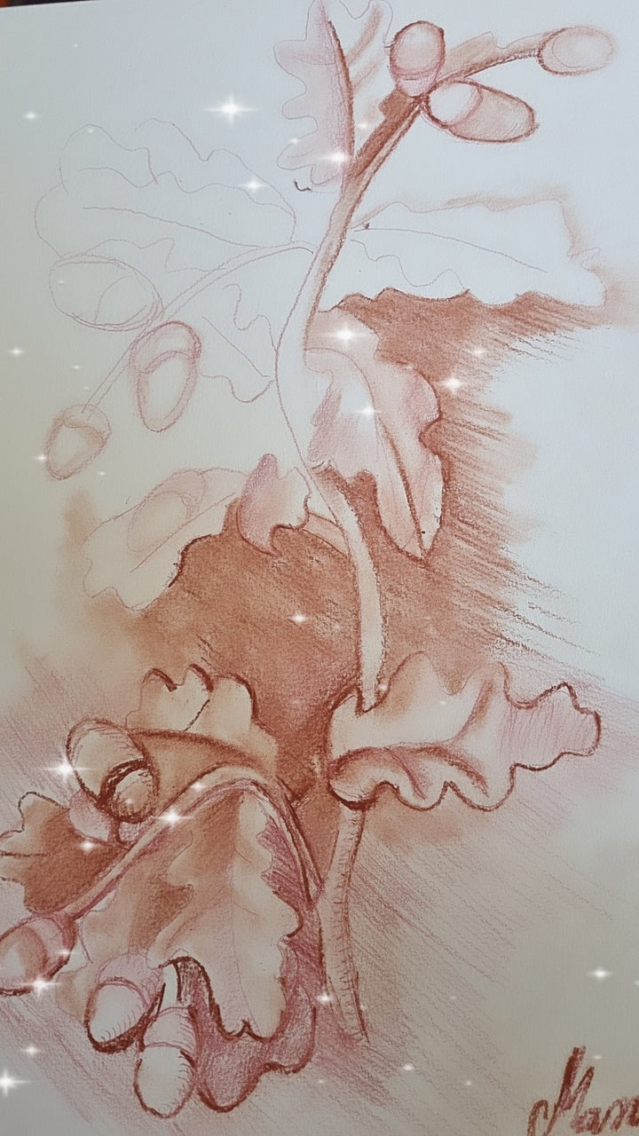 Artistic depiction of leaves and flowers in brown on a white background